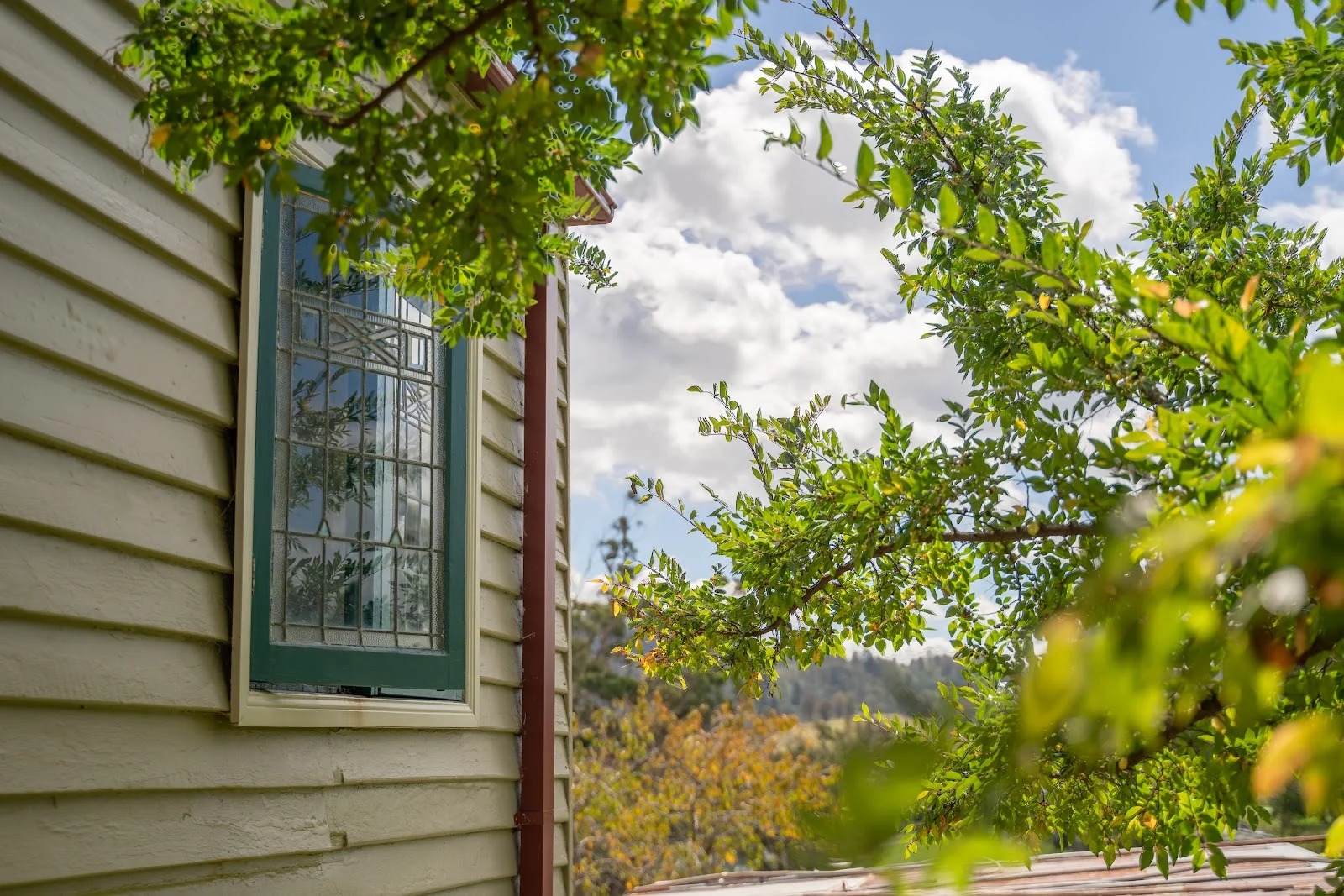 Additional image 31 of 36 Monaro Street, Wyndham NSW 2550