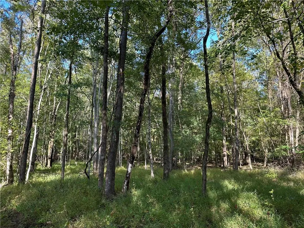 Additional image 12 of Lee Rd 334, Salem, AL 36874