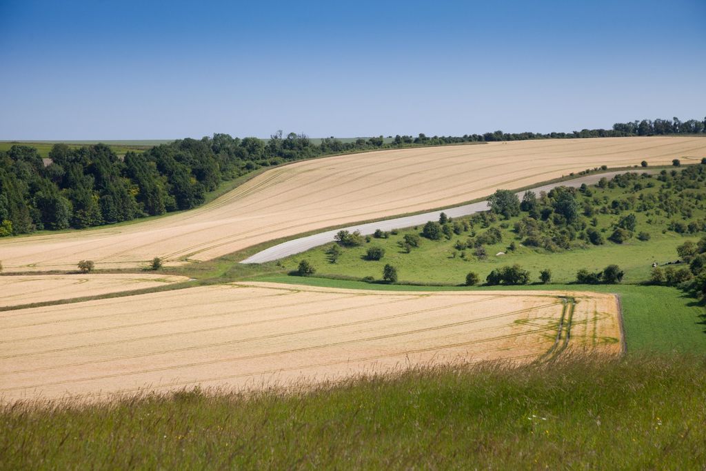 Additional image 10 of Land for saleSutton Parva, Tytherington, Warminster, Wiltshire BA12