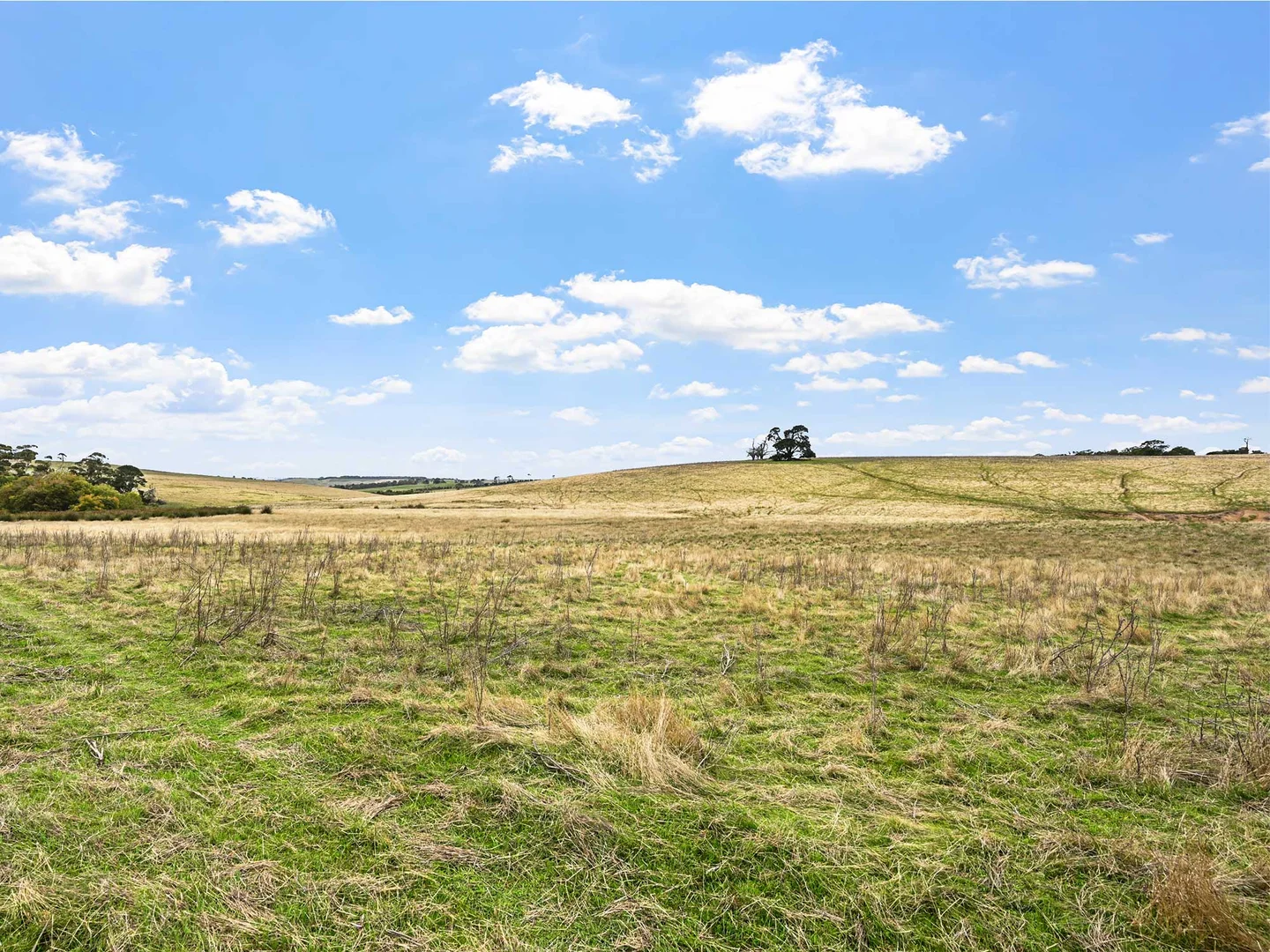 Additional image 12 of 4231 Dartmoor-Hamilton Road, Grassdale VIC 3302