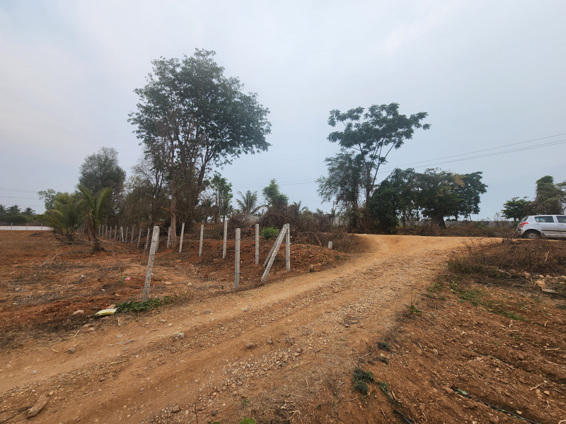 Additional image 2 of Jayapura, Mysore