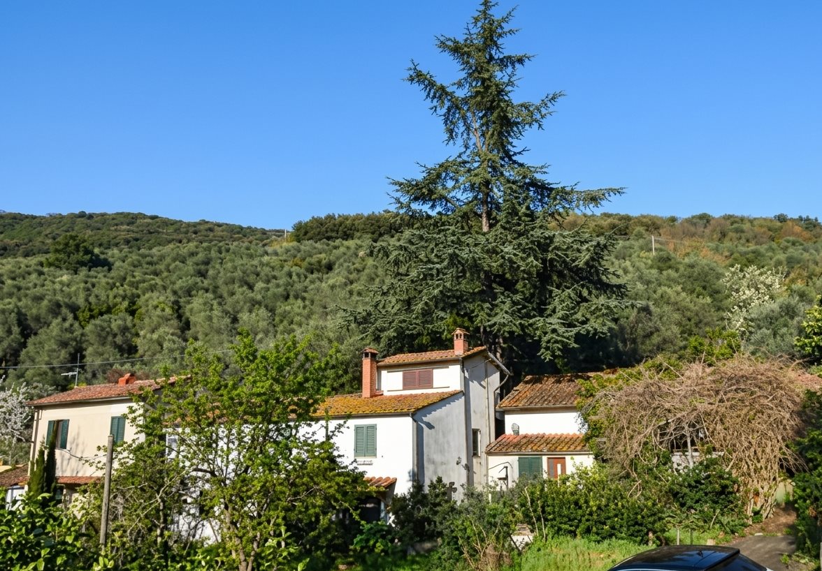 Additional image 10 of Massarosa (Provincia di Lucca)