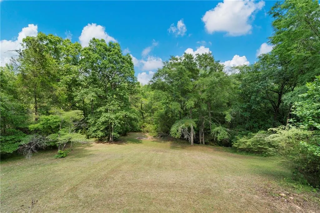 Additional image 52 of 206 Lee Road 307, Phenix City, AL 36867