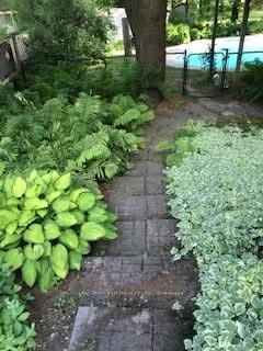 Additional image 4 of 39 Pooles Road, Springwater, ON, L9X 0P4