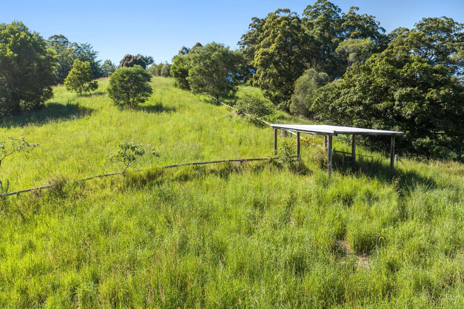 Additional image 32 of 24 Carroo Lane, Ridgewood QLD 4563