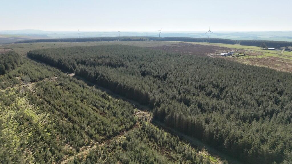 Additional image 13 of Woodland at Broadmuir, Hill of Fisherie, Turriff, AB53 5QL