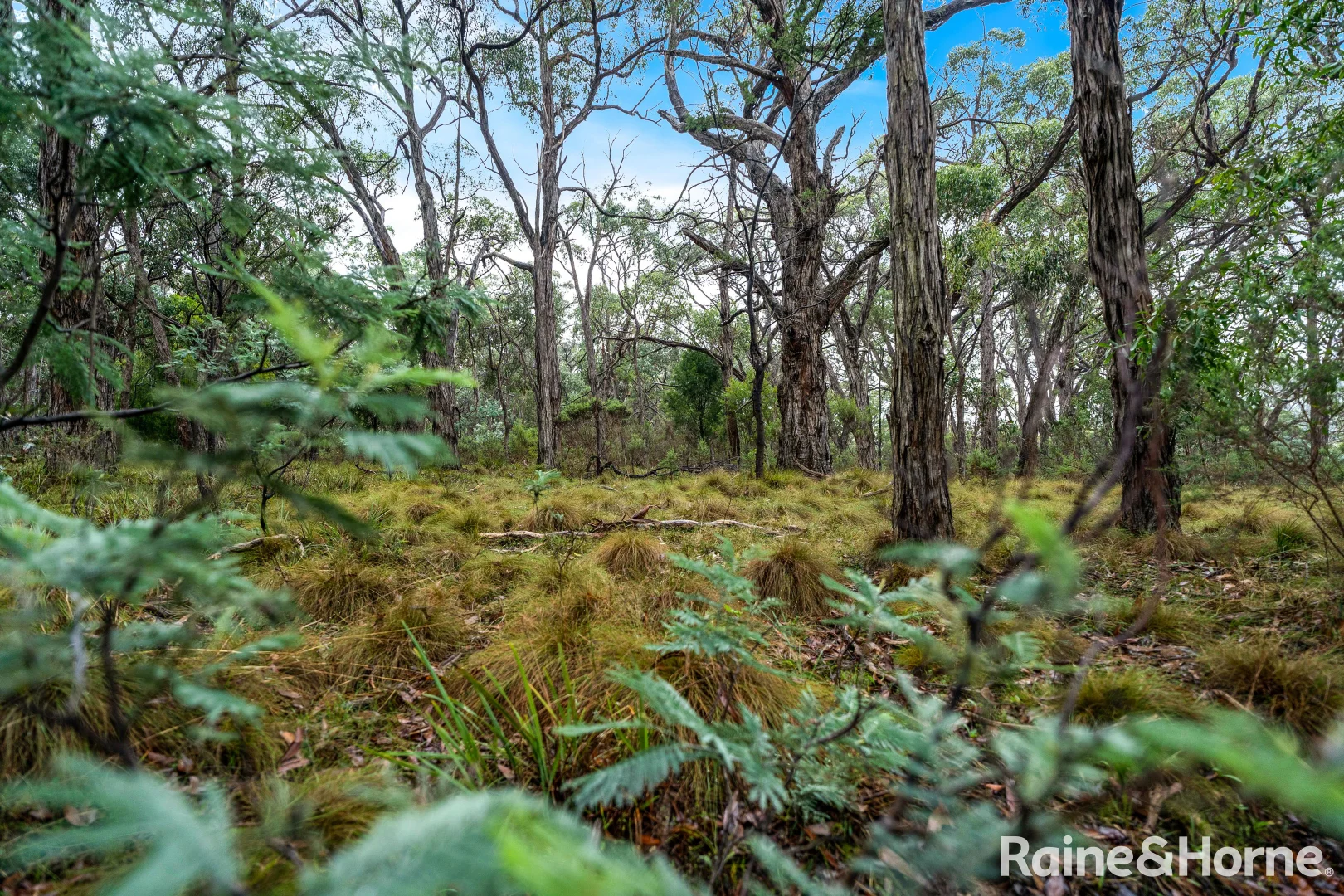 Additional image 4 of Lot 126 Prince Alfred Street, Riddells Creek VIC 3431