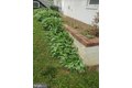Additional image 68 of 17804 Park Mill Dr, Derwood, MD, 20855