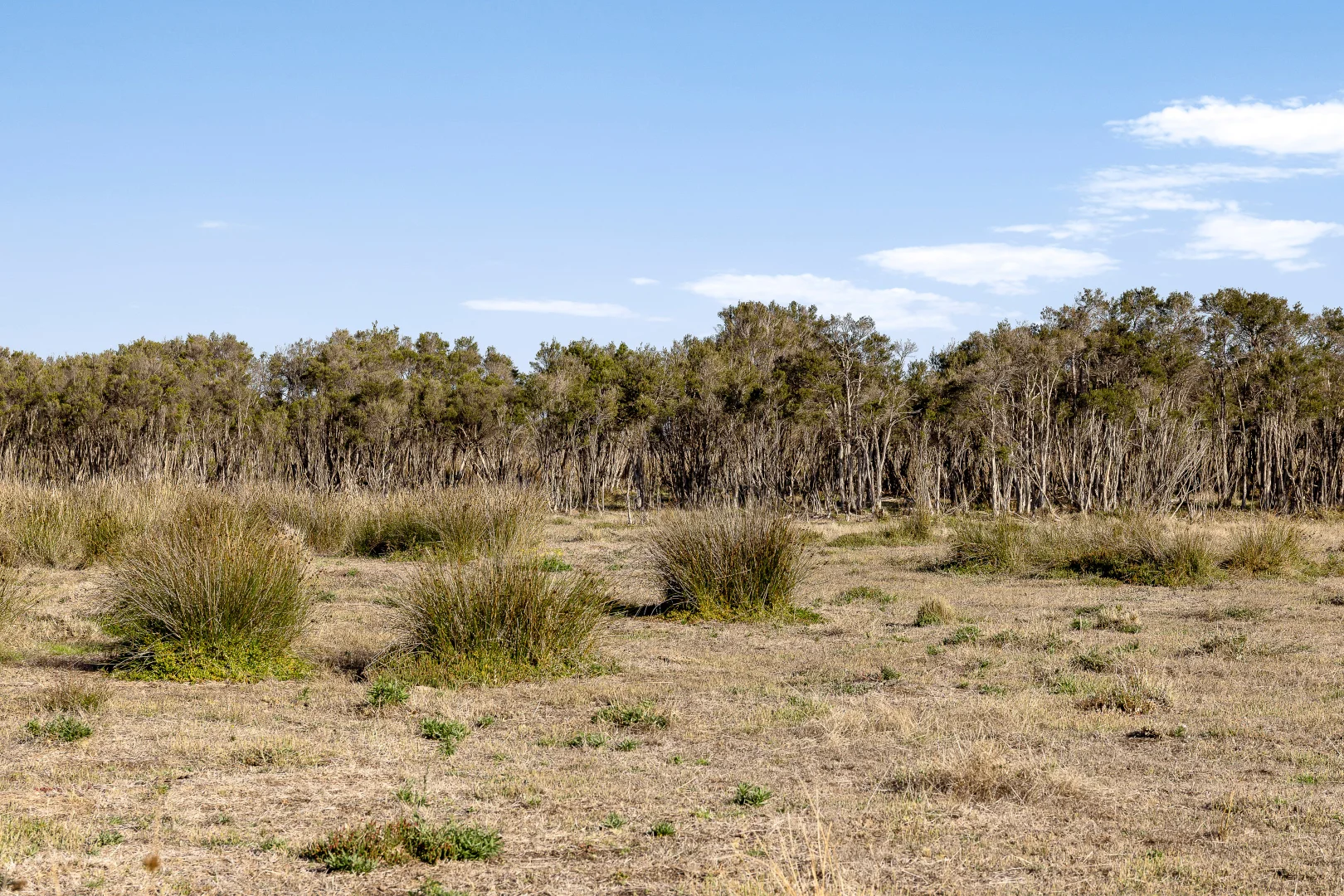 Additional image 19 of 390A Stanlakes Road, Lang Lang VIC 3984