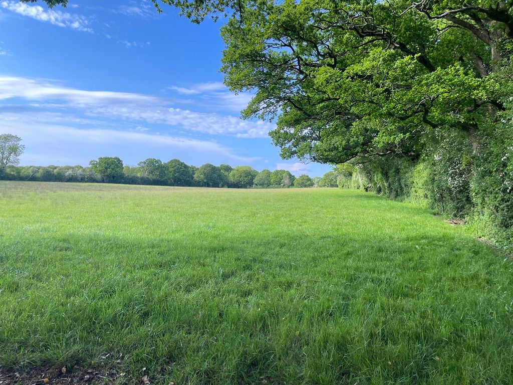 Land for salePopes Lane, Lower Upham SO32 photo 3