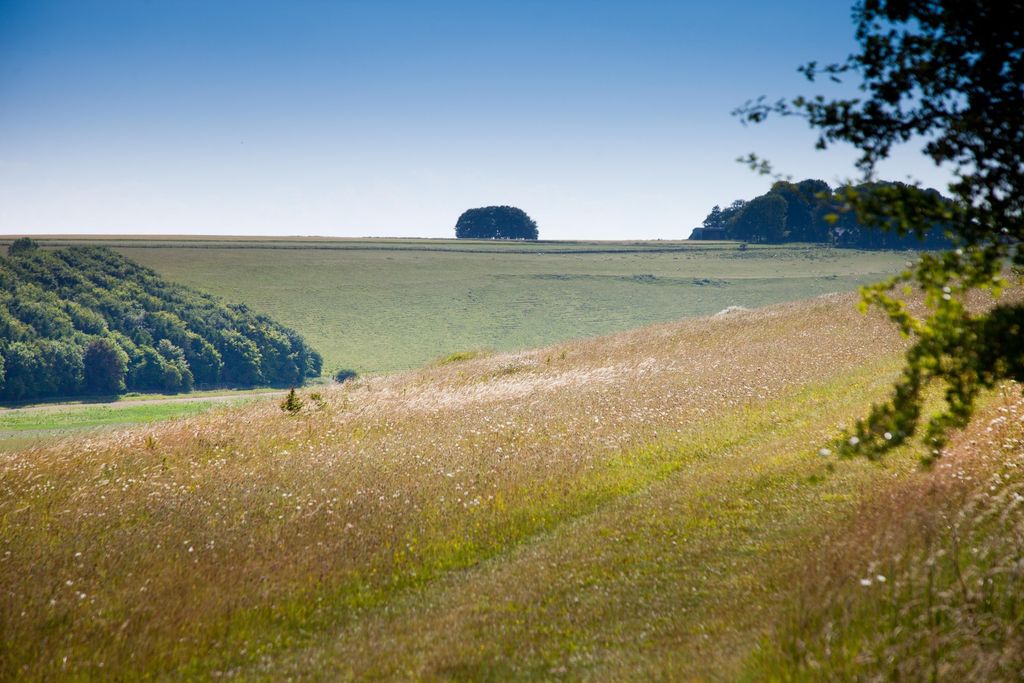 Additional image 11 of Land for saleSutton Parva, Tytherington, Warminster, Wiltshire BA12