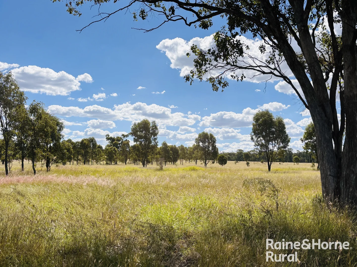 Additional image 6 of 640 Carrington Road, Roma QLD 4455