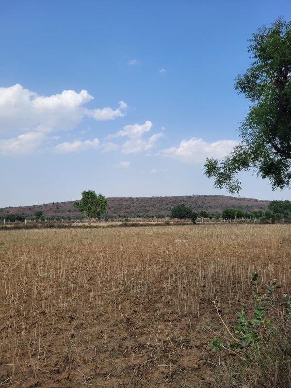 Pinan, Alwar