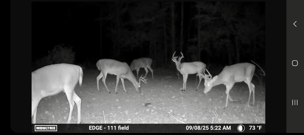 Lee Rd 278, Salem, AL 36874