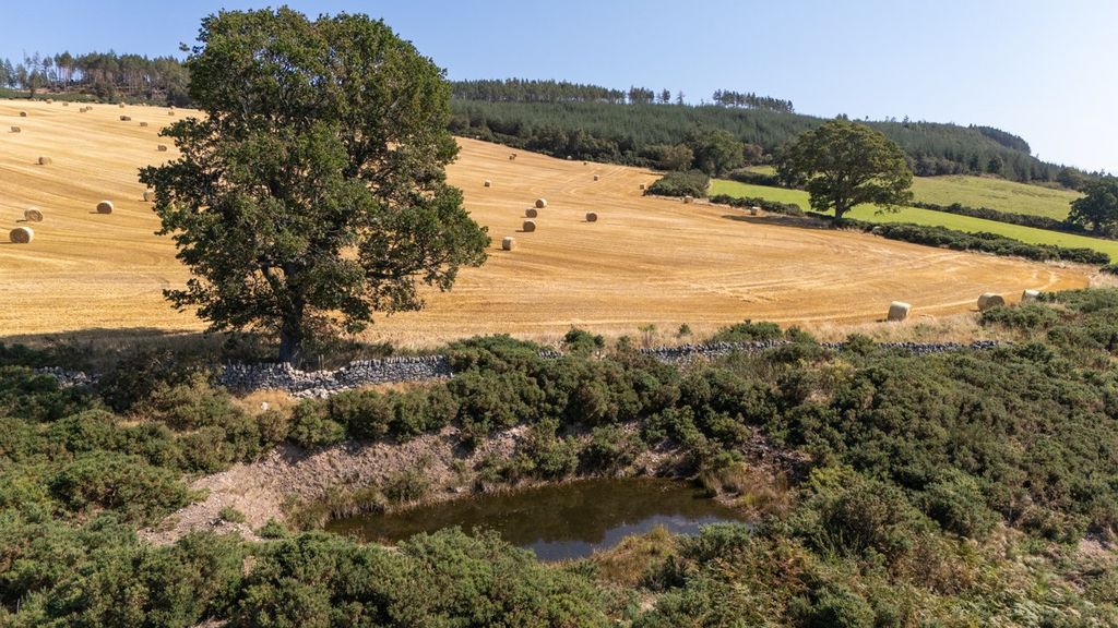 Additional image 11 of Land for saleWester Moy Farm, Muir Of Ord, Ross-Shire IV6