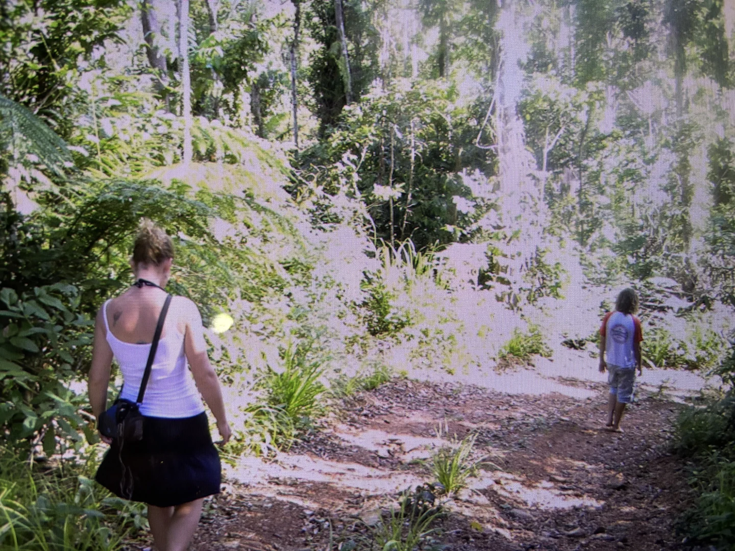 Additional image 41 of Lot 18 Turalba Road, Jubilee Heights QLD 4860