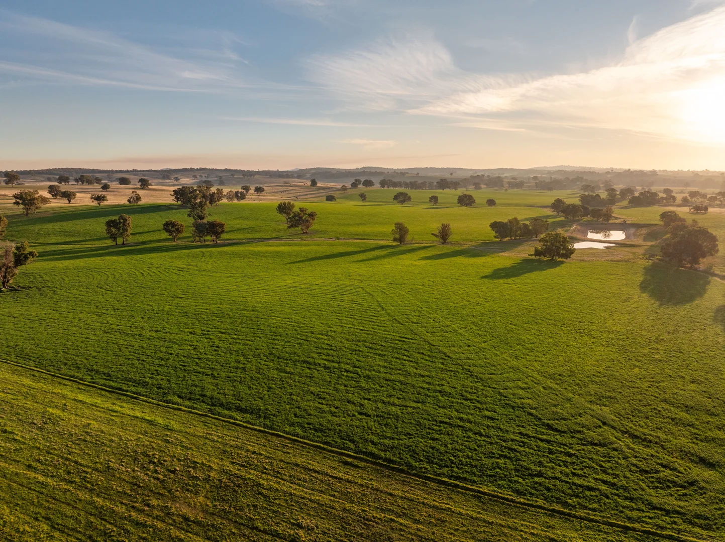 Additional image 16 of "KALOONA" Holbrook Road, Mangoplah NSW 2652