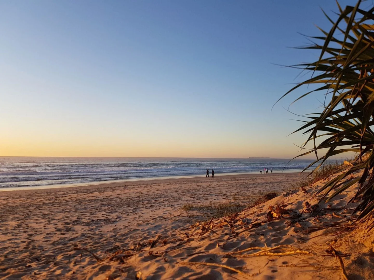 Additional image 8 of New Brighton NSW 2483