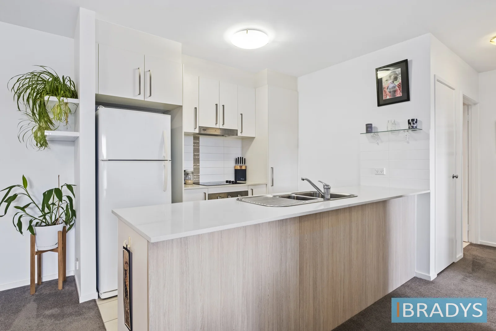 99/311 Flemington Road, Franklin ACT 2913 photo 4