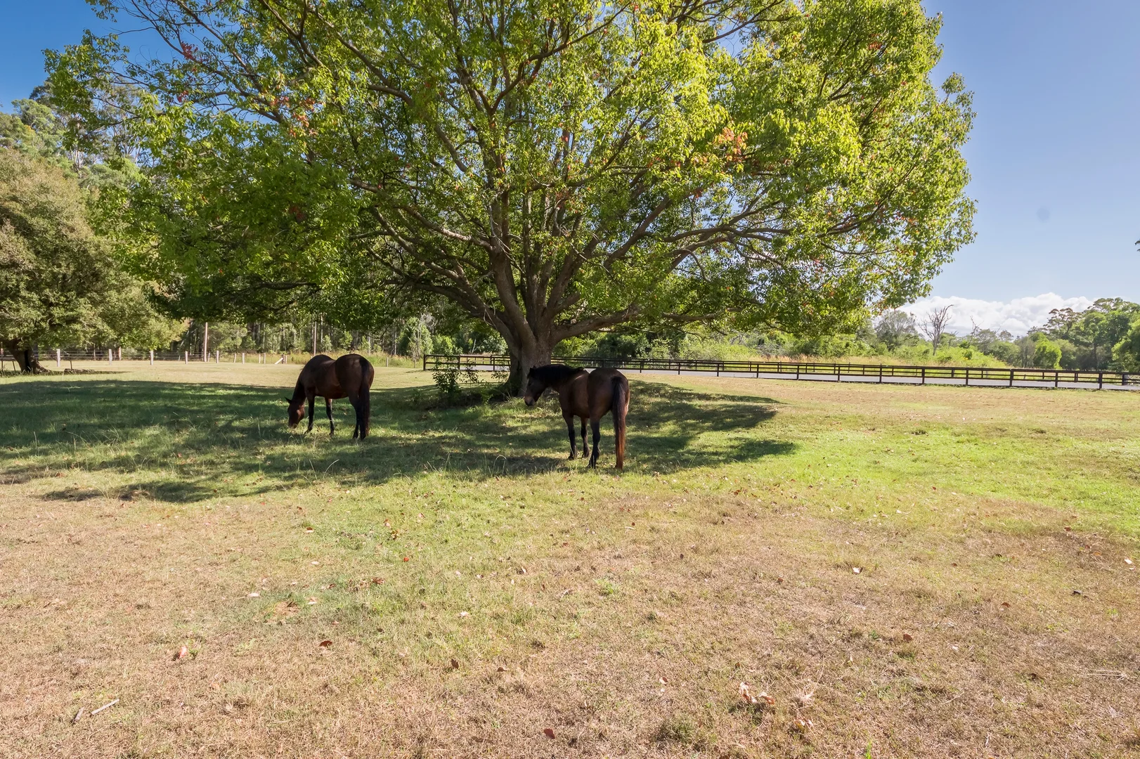 Additional image 33 of 43 Denva Road, Taree South NSW 2430