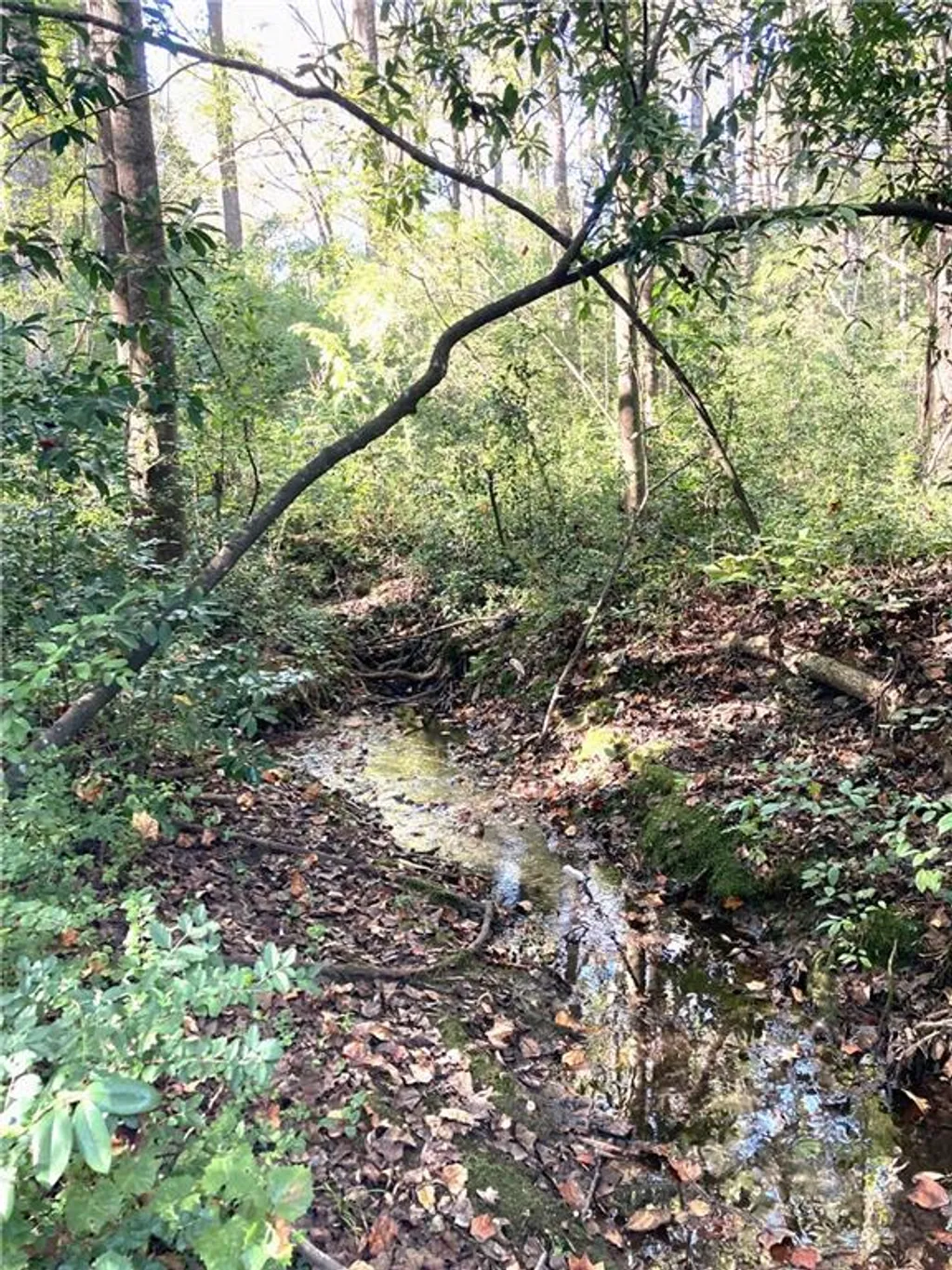Additional image 5 of Big Spring Drive, Phenix City, AL 36870