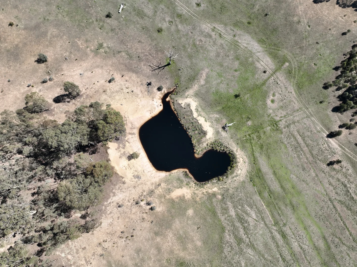 Additional image 5 of 0 Bealiba - Rheola Road, McIntyre VIC 3472