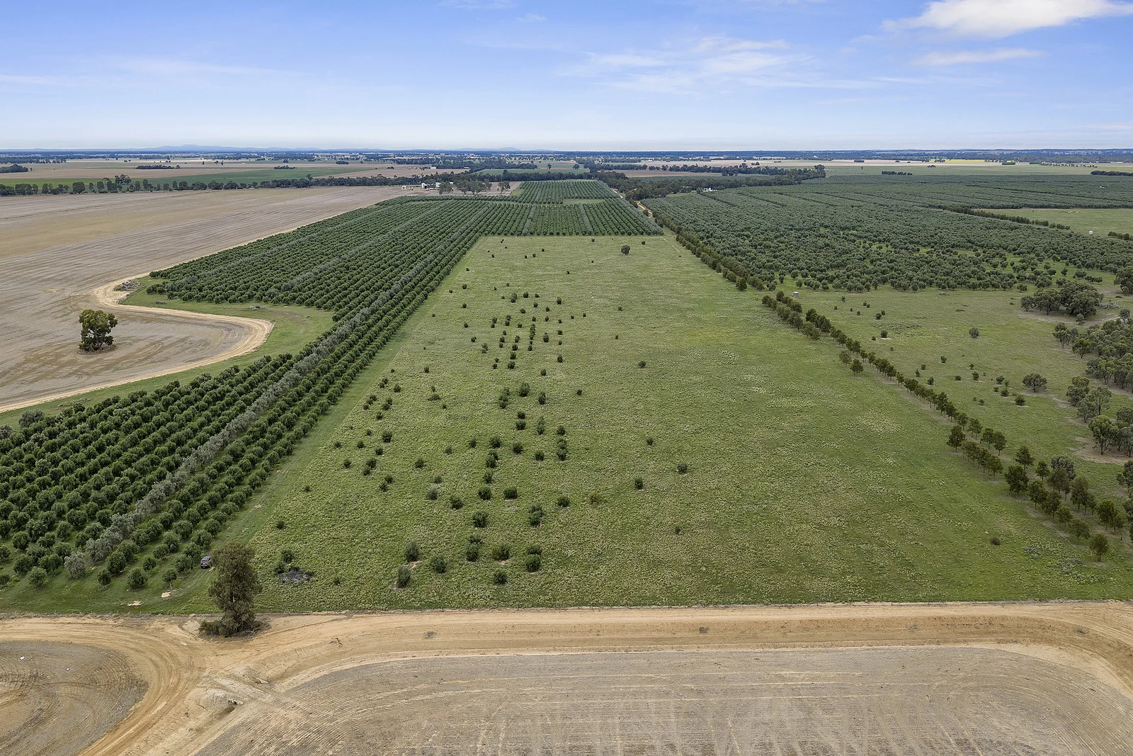 Additional image 6 of . Echuca Serpentine Road, Serpentine VIC 3517