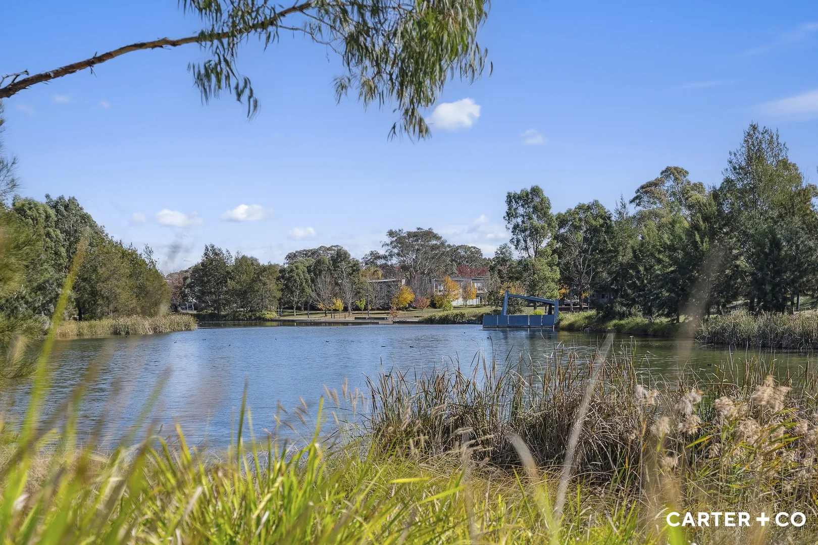 Additional image 34 of 8/15 Dickins Street, Forde ACT 2914
