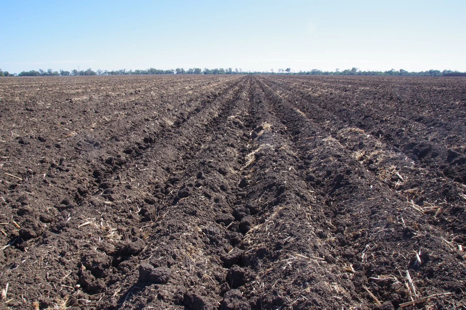 Additional image 4 of 36 Cudgewa Lane, Wee Waa NSW 2388
