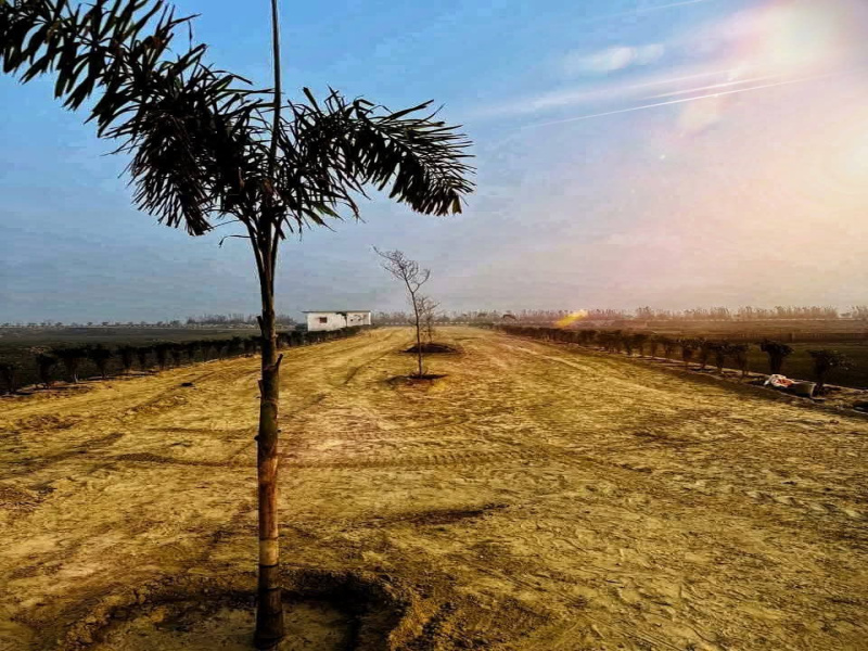 Maniram, Gorakhpur
