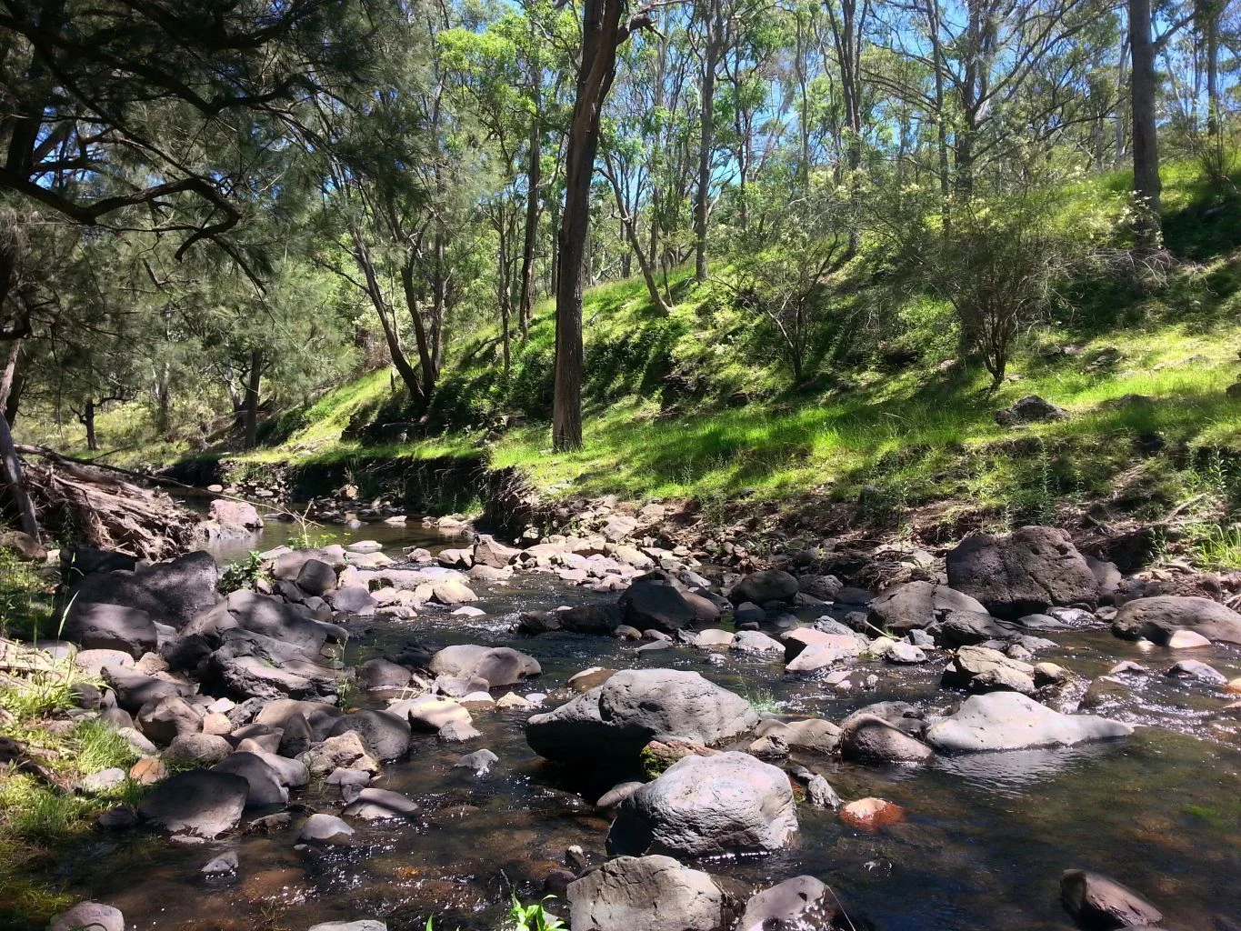 North Branch QLD 4370 photo 2