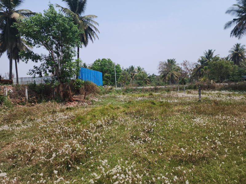 Additional image 3 of T Narasipura Road, Mysore
