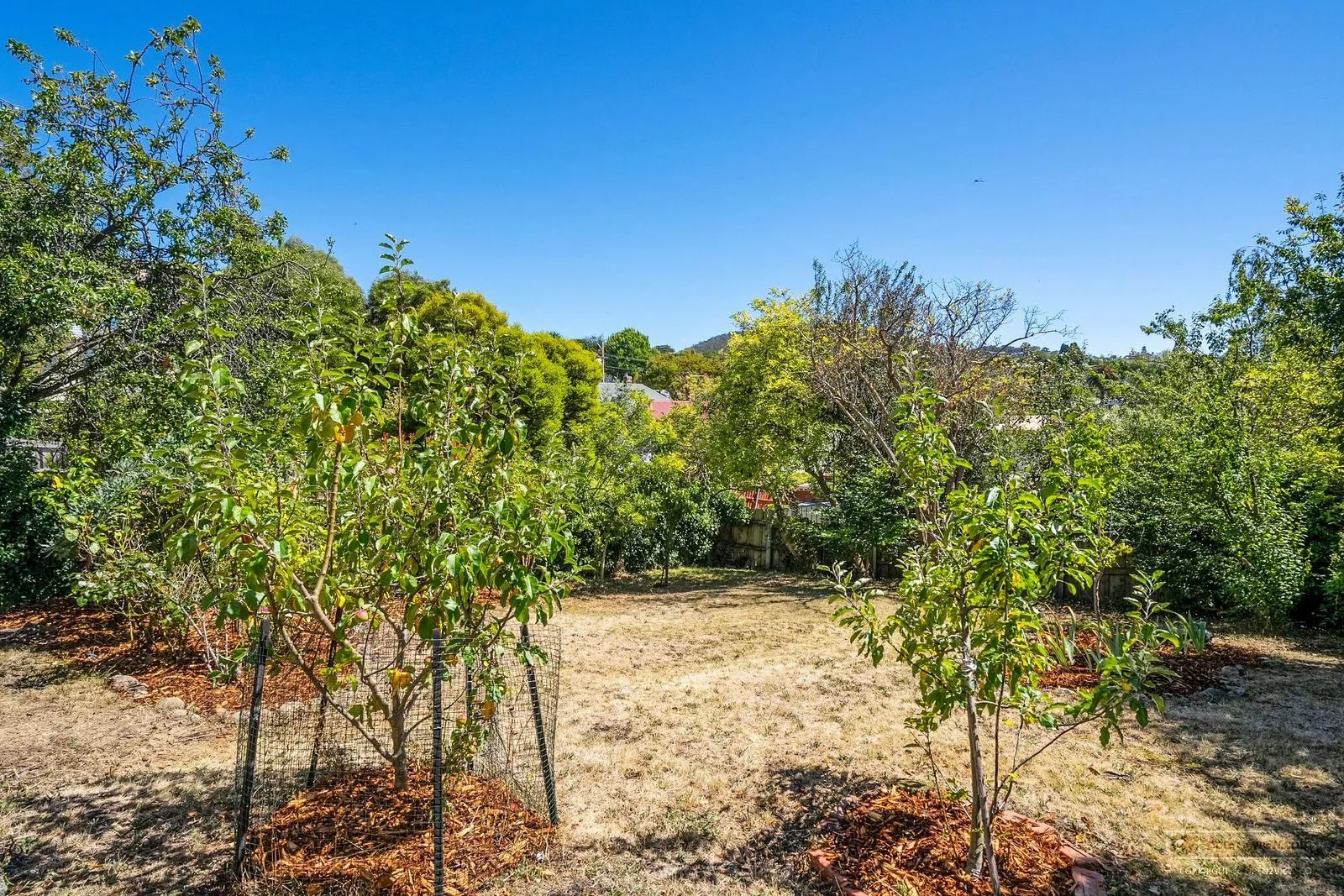 Additional image 31 of 119 York Street, Sandy Bay TAS 7005