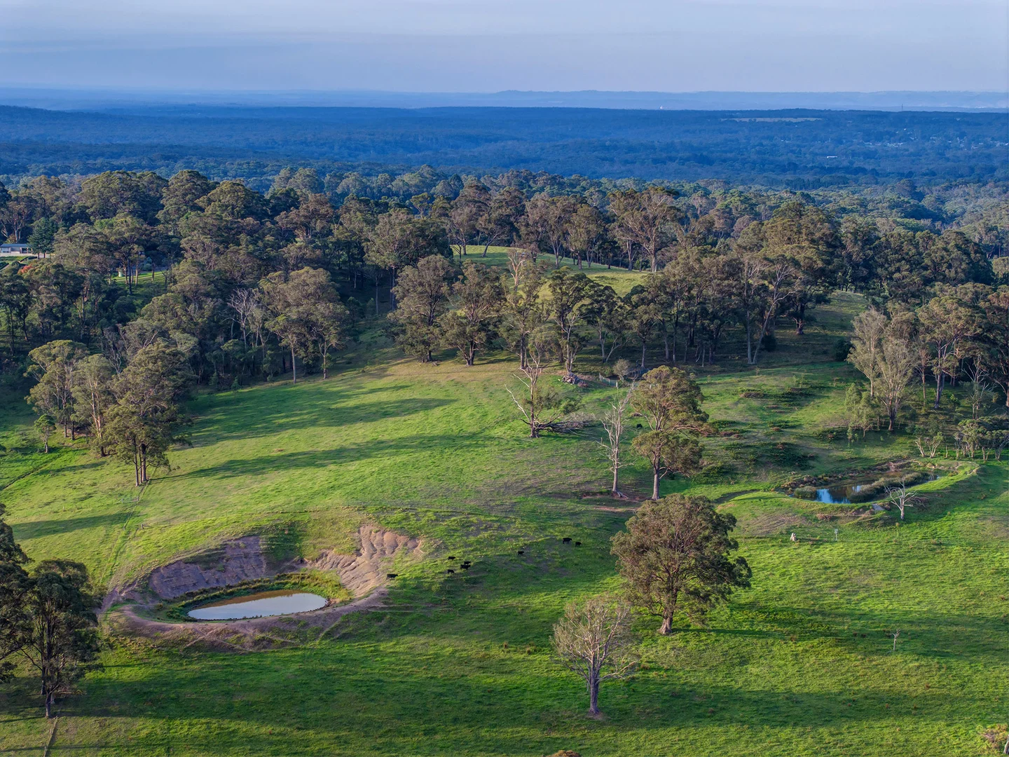 Additional image 17 of 1107 Old Hume Highway, Alpine NSW 2575