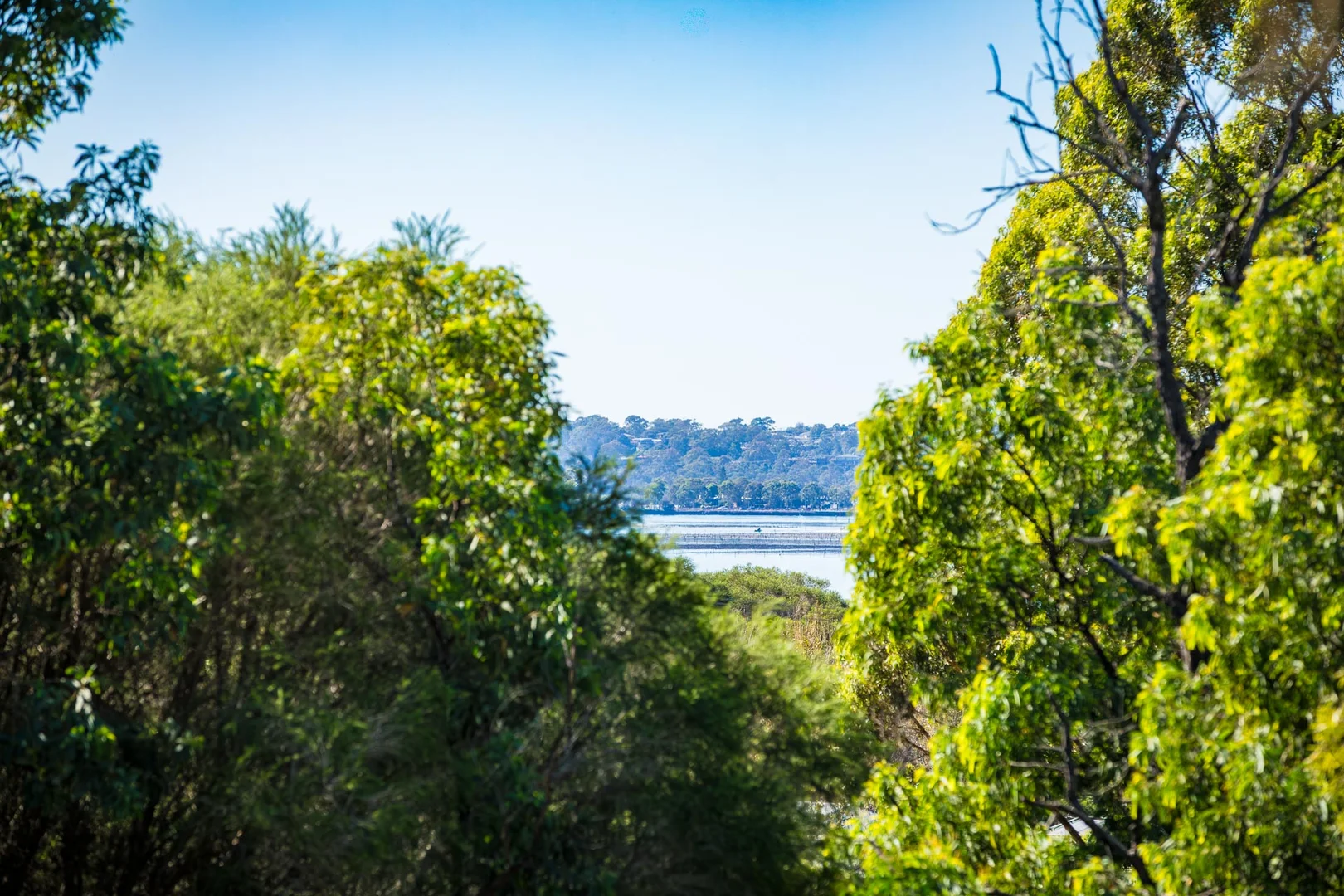 Additional image 31 of 20 Stringybark Place, Millingandi NSW 2549