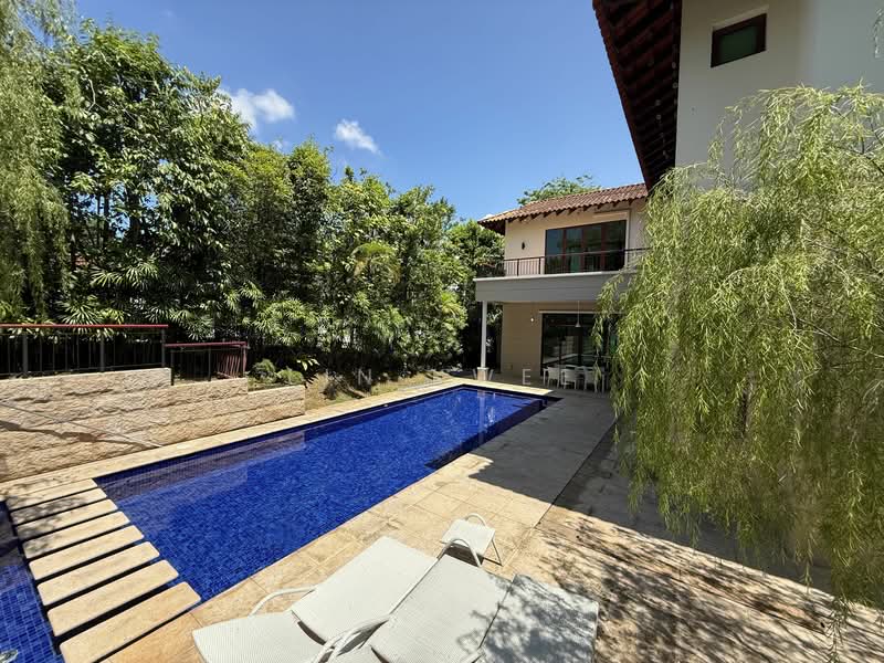 Rochalie Drive
