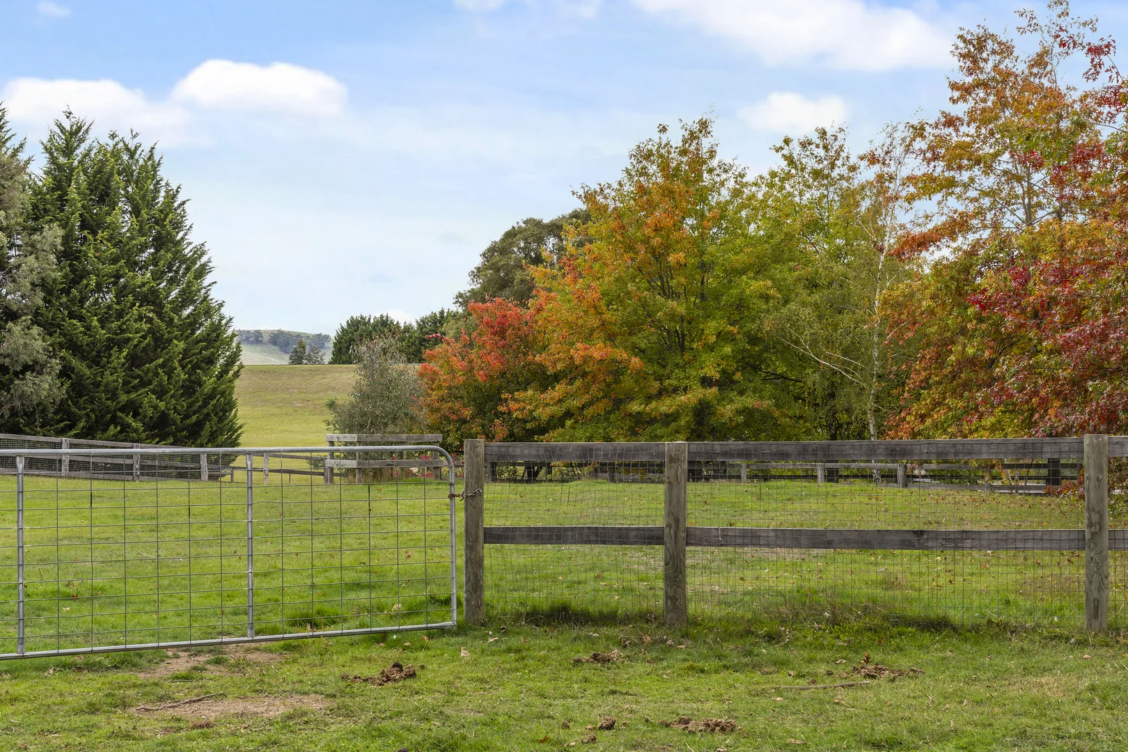 Additional image 15 of 60 Parkview Drive, Lancefield VIC 3435