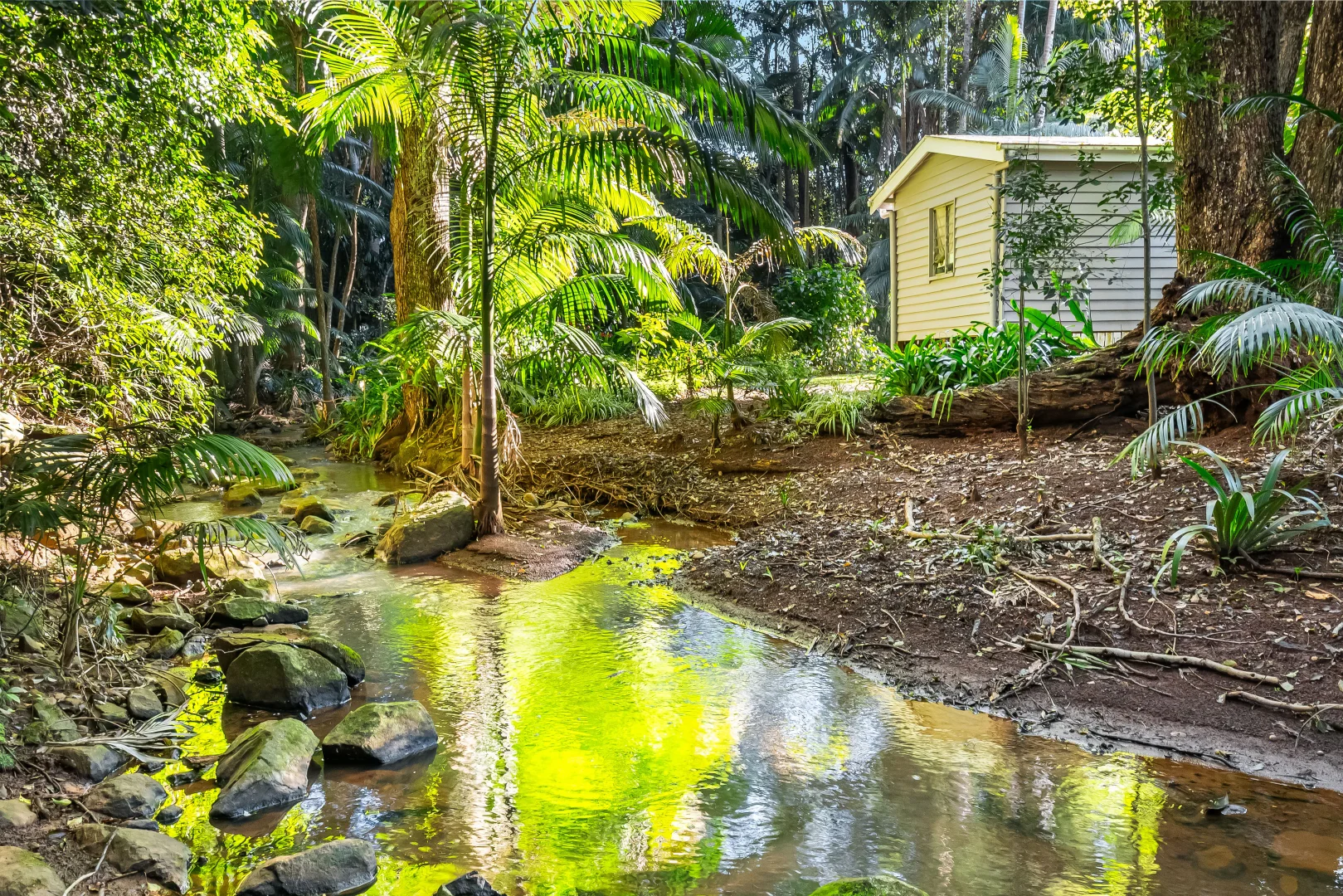Additional image 11 of 493 Friday Hut Road, Brooklet NSW 2479