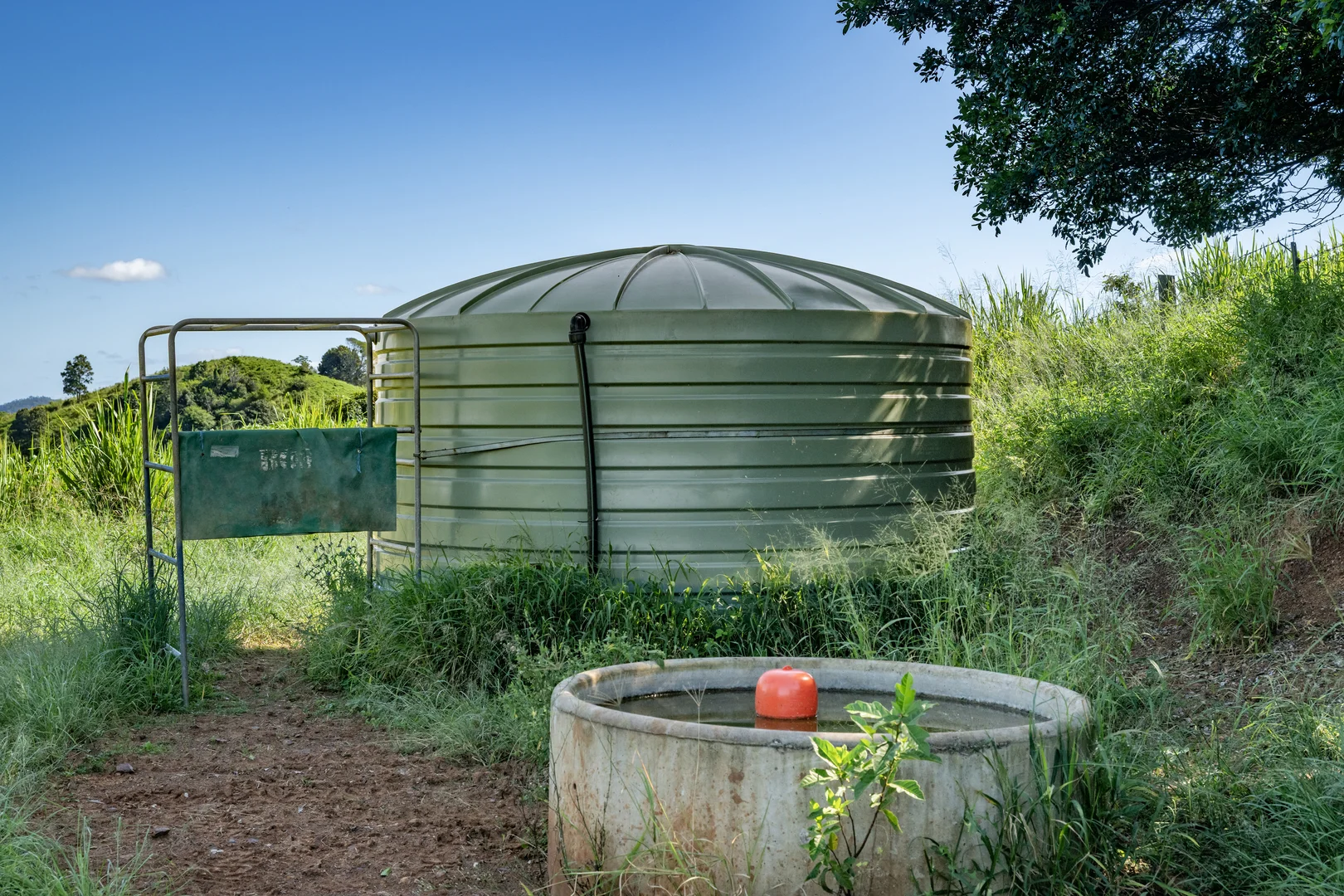 Additional image 28 of 55 Jerry Creek Road, Langshaw QLD 4570