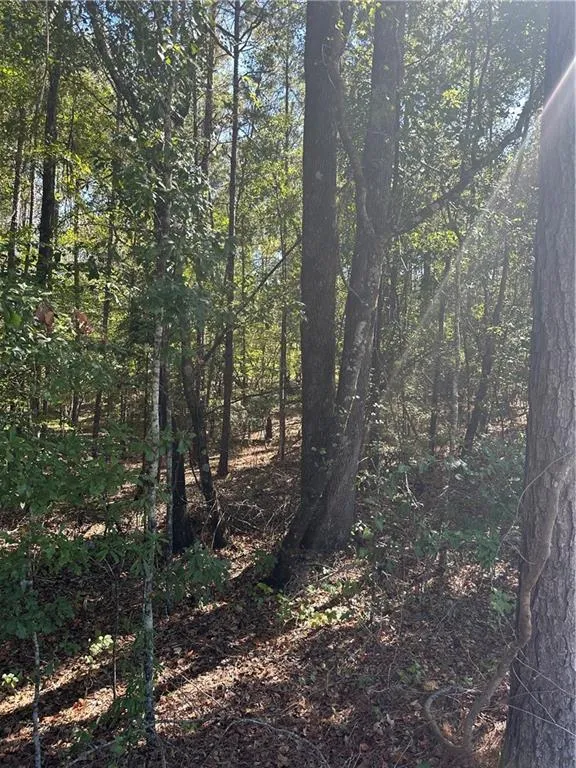 Additional image 13 of Lee Rd 288, Smiths Station, AL 36877