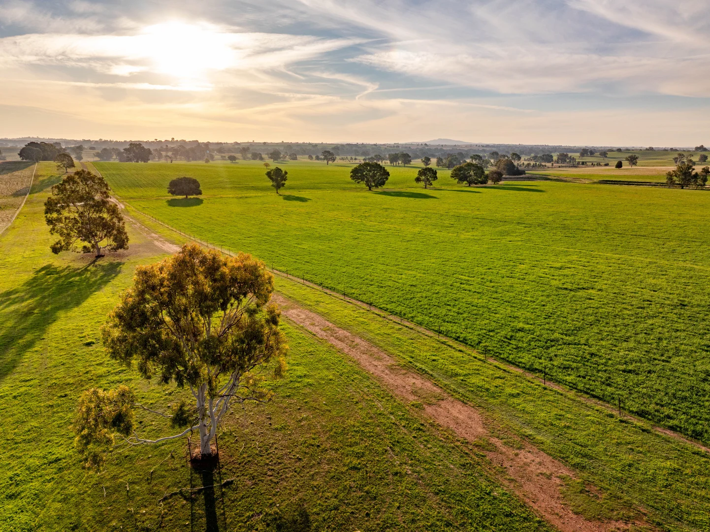 Additional image 19 of "KALOONA" Holbrook Road, Mangoplah NSW 2652