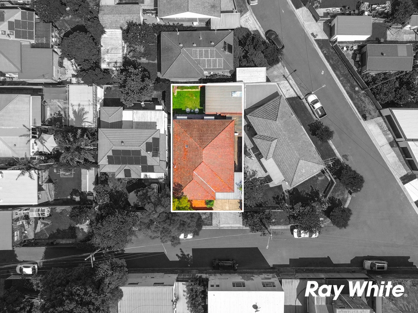 Additional image 15 of 8 Crawford Place, Marrickville NSW 2204