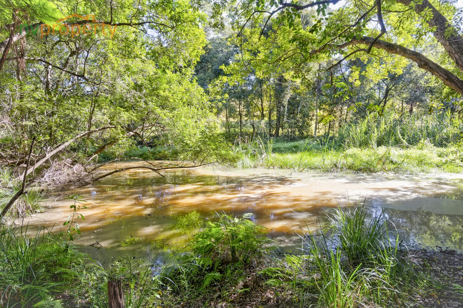 Additional image 5 of 145 Hunters Road, Yarrahapinni NSW 2441
