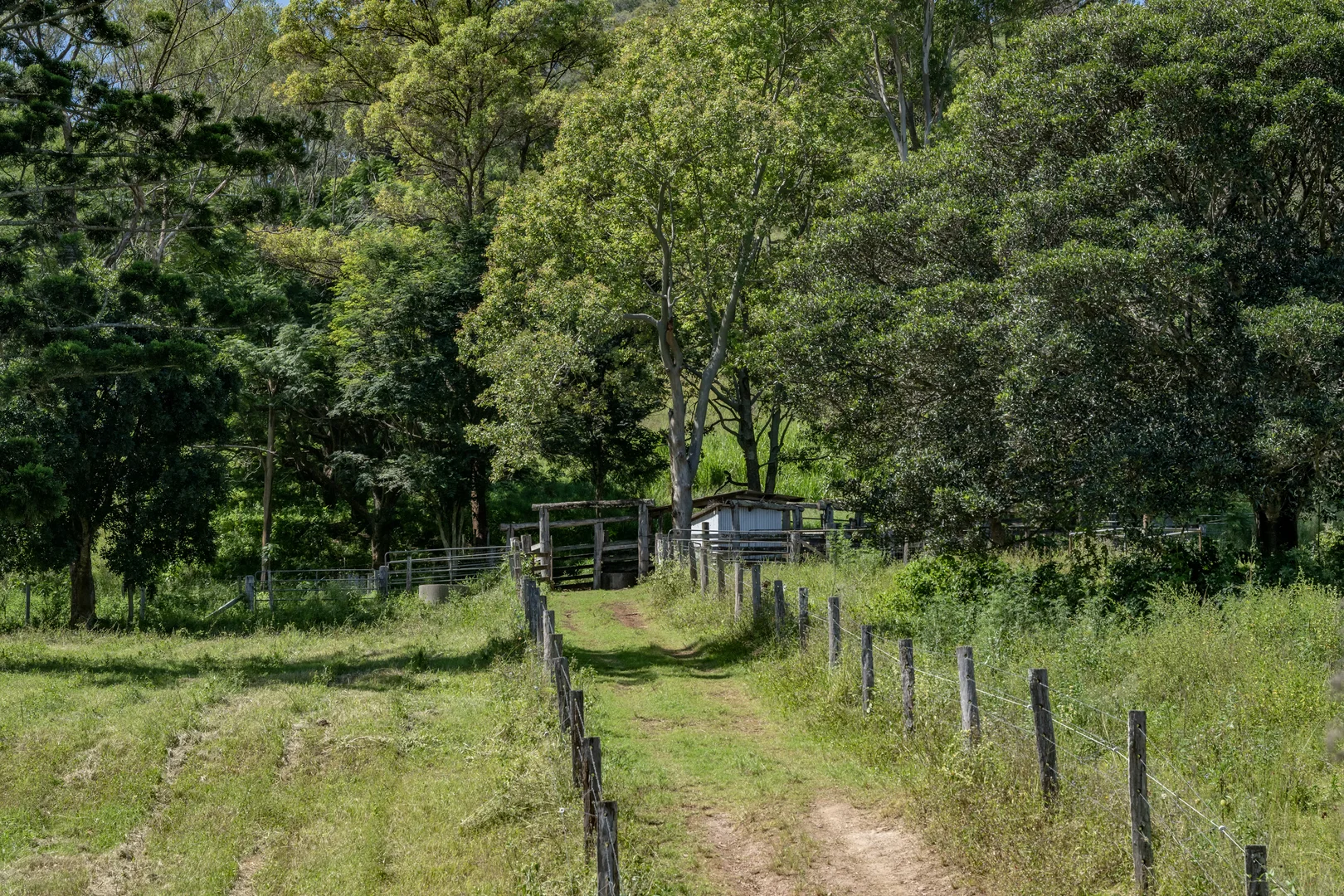 Additional image 32 of 55 Jerry Creek Road, Langshaw QLD 4570