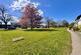 Additional image 2 of 23 The Green, Romanby