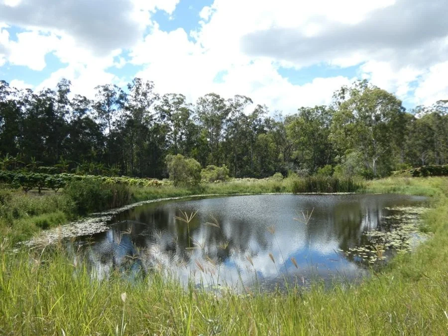 Additional image 22 of 86 Simpsons Road, Bullyard QLD 4671