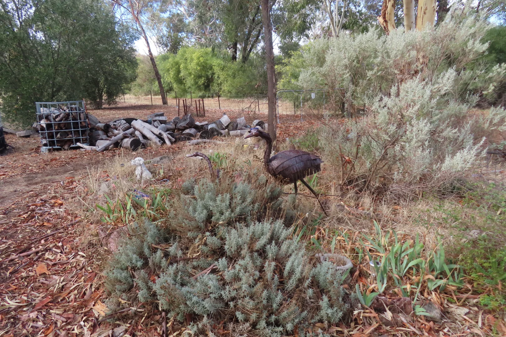 Additional image 11 of 316 Carlin Road, Bakers Hill WA 6562