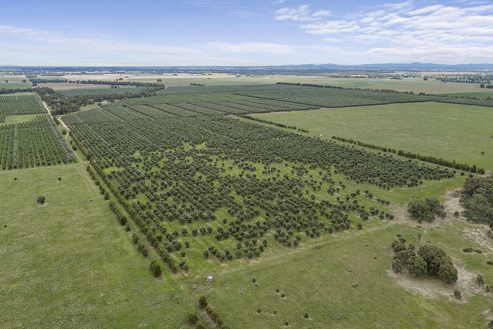 Additional image 20 of . Echuca Serpentine Road, Serpentine VIC 3517