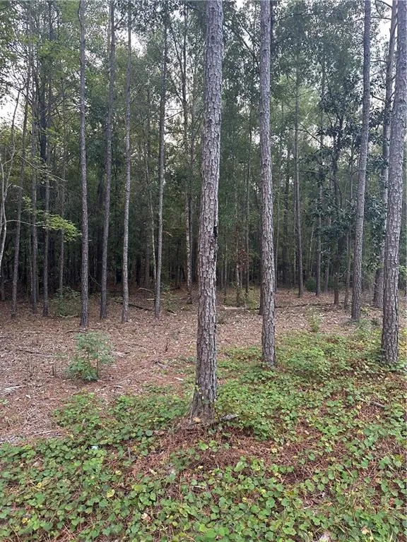 Additional image 9 of Lee Rd 288, Smiths Station, AL 36877