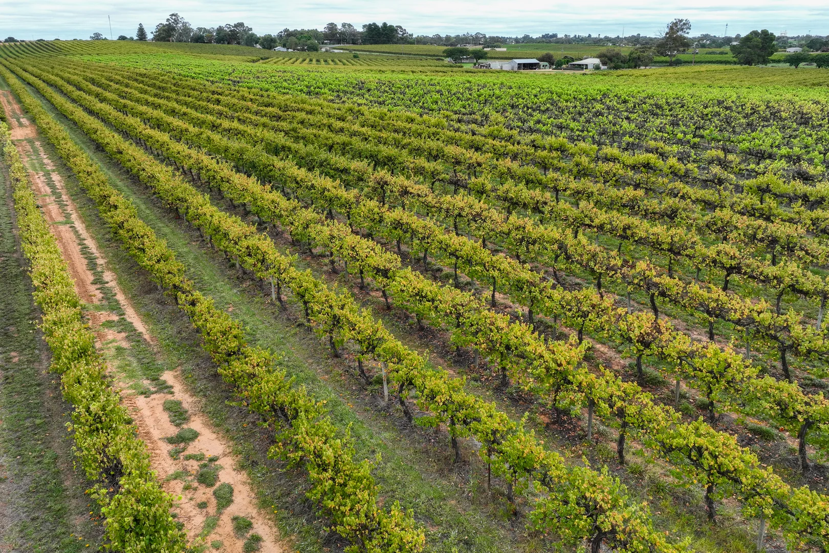 Additional image 10 of Lot 15 Rattey Road, Loxton SA 5333